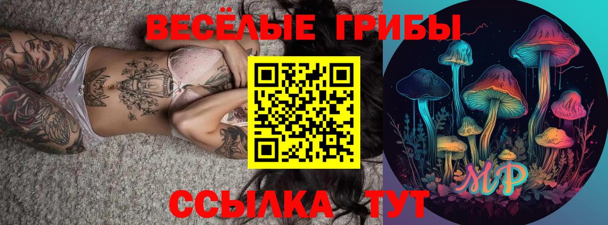 Марихуана  Касимов  ЭКСТАЗИ  Меф МЯУ МЯУ   LSD-25  ГАШ  Продажа наркотиков  Cocaine  Вход с VPN 